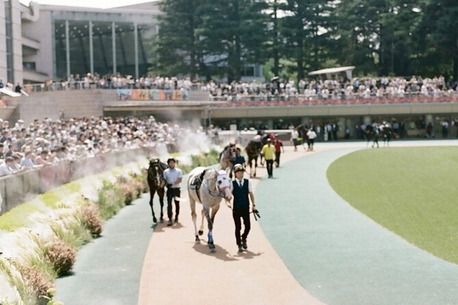 Horse Racing Tour with Local Fans in Tokyo Racecourse - Live races and the sound of local fans
