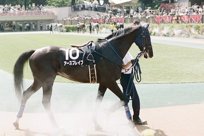 Horse Racing Tour with Local Fans in Tokyo Racecourse - Sake, cocktails, and Japanese street food