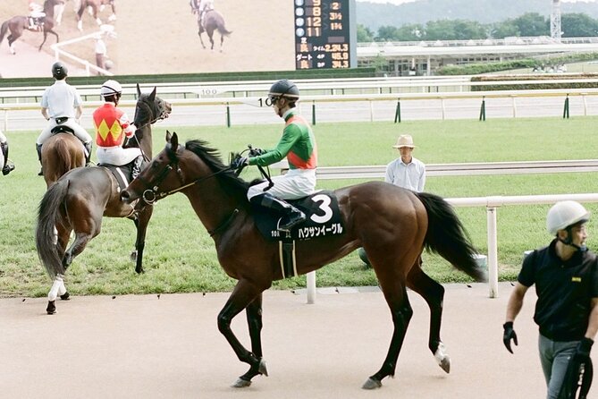 Horse Racing Tour with Local Fans in Tokyo Racecourse - Who will enjoy this race-day outing?