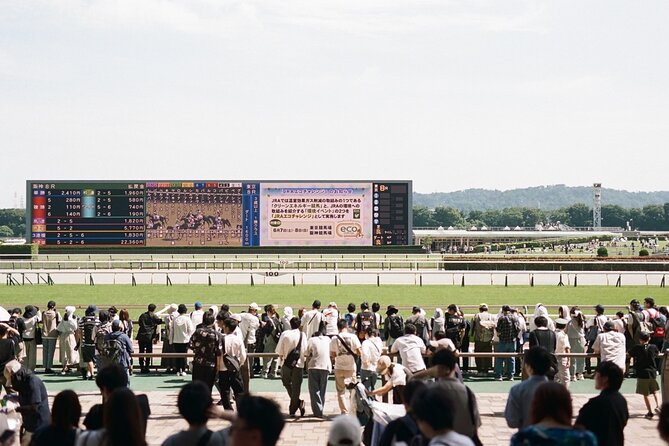 Horse Racing Tour with Local Fans in Tokyo Racecourse - Seeing the horses in the paddock