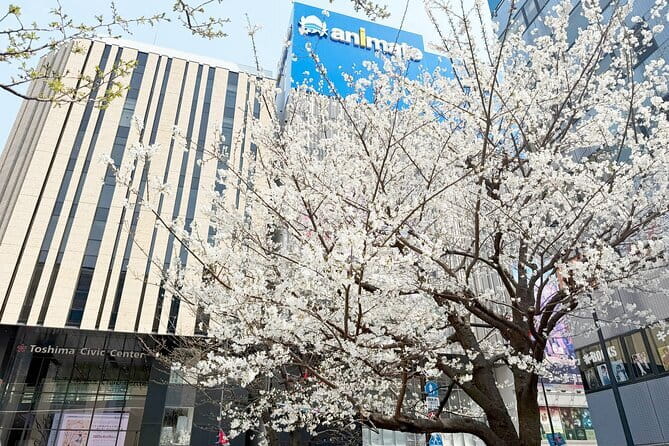 Ikebukuro Anime and Game Culture Experience Tour - Starting at Ikebukuro Mikado Game Center