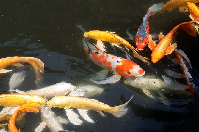 Imperial Palace East Garden and Edo Castle Walking Tour in Tokyo - Who should book this Imperial Palace walk?