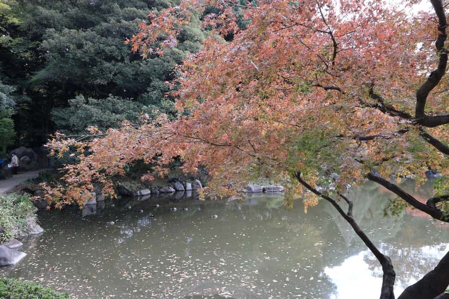 Imperial Palace Tour: Discover Samurai History with a Guide - What the guides add to the walk