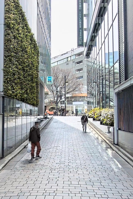 Kabukicho Macabre Tour - the Real Tokyo Vice - Vivian’s guiding style and the value of a small group