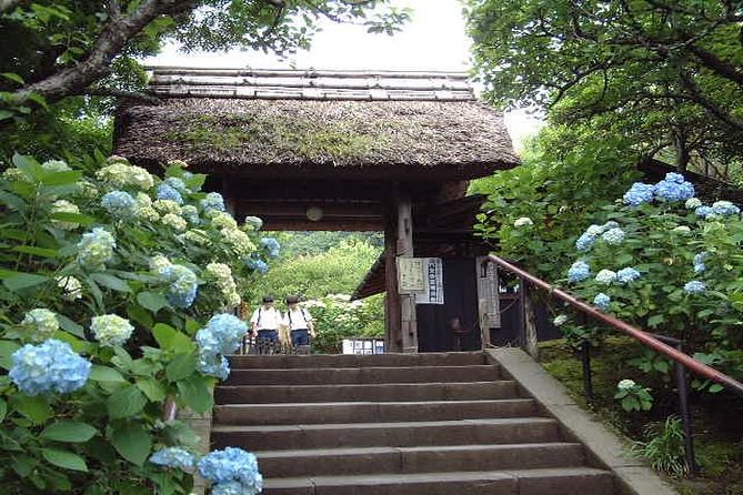Kamakura 8 hr Private Walking Tour with Licensed Guide from Tokyo - Hokoku-ji’s bamboo grove