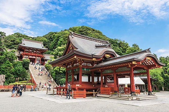 Kamakura 8 hr Private Walking Tour with Licensed Guide from Tokyo - Choosing between Zen temples and quieter corners