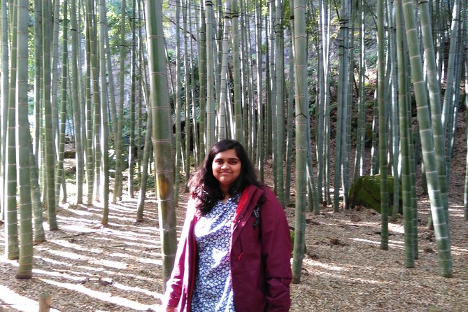 Kamakura 8 hr Private Walking Tour with Licensed Guide from Tokyo - Hiking trails, Enoshima, and the danger of overplanning