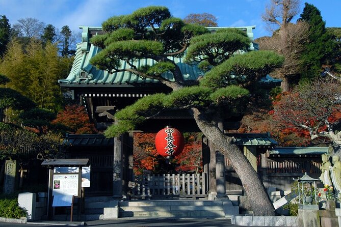 Kamakura and Yokohama Private Tour with Bilingual Chauffeur - A Quiet Hour in Hokoku-ji’s Bamboo Garden