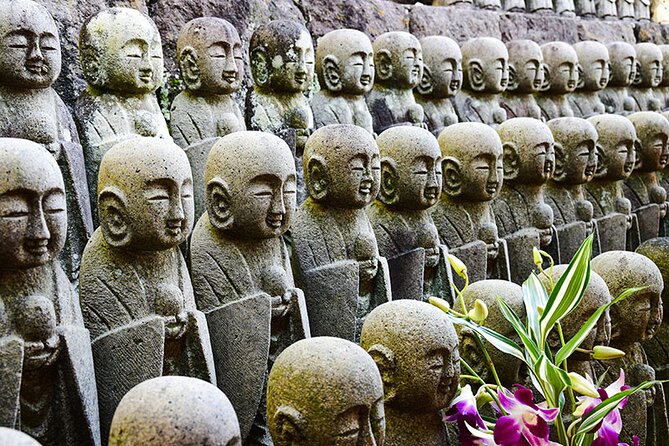 Kamakura Full Day Walking Tour with Local Expert Guide and Pickup - Meigetsuin, the Hydrangea Temple