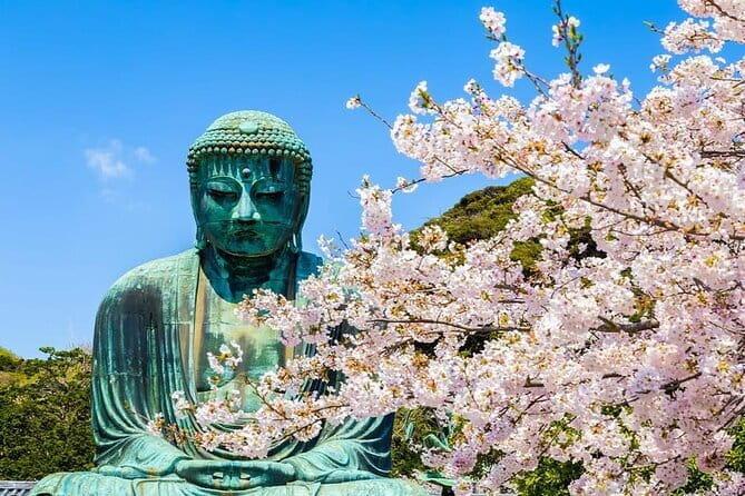 Kamakura Great Buddha and Enoshima with hotel Pickup small group - What this Kamakura and Enoshima day is really like