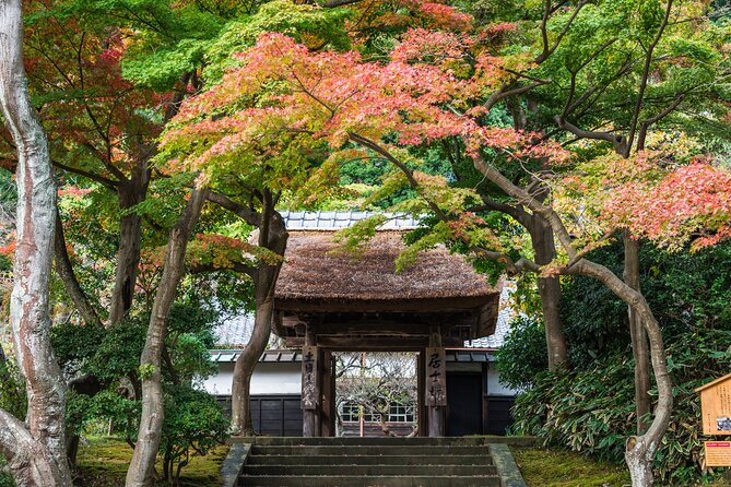 Kamakura Historical and Cultural Day Trip with Local Cuisine - What the private price really buys you