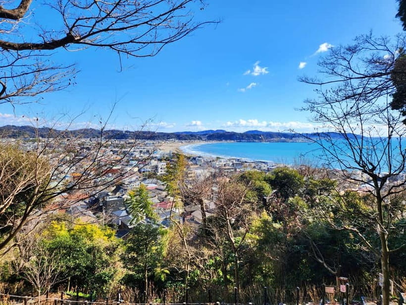 Kamakura Private & Customizable Tour - All-in-One Experience - Who will enjoy this most