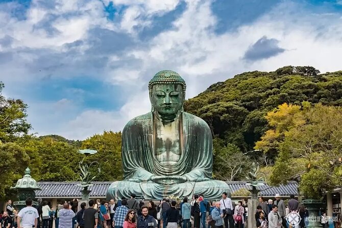 Kamakura Private Tour Great Buddha & Enoshima with English guide - Key points before you book