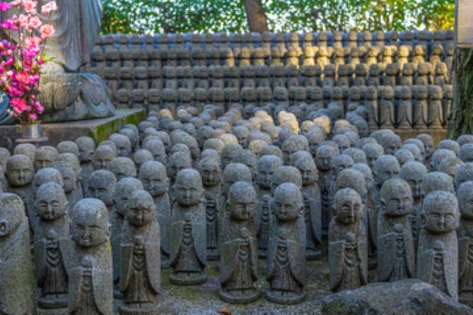 Kamakura Private Tour Great Buddha & Enoshima with English guide - Why this private Kamakura day works