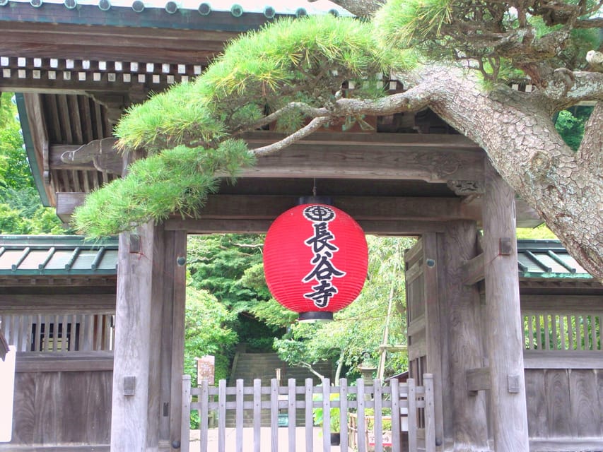 Kamakura Temples Private Guided Tour from Tokyo - What the private guide adds
