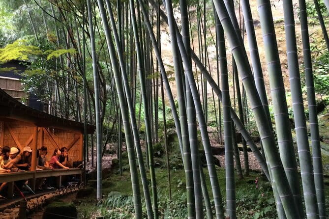 Kamakura Walking Tour with Local Guide Including Hokokuji Temple - Starting at Tsurugaoka Hachimangu Shrine