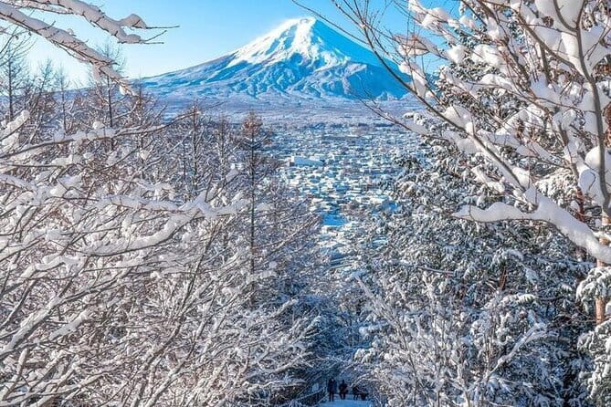 Kamkura: Private Zazen, Matcha at Bamboo Temple & Mindful Cuisine - What the $170 Price Covers