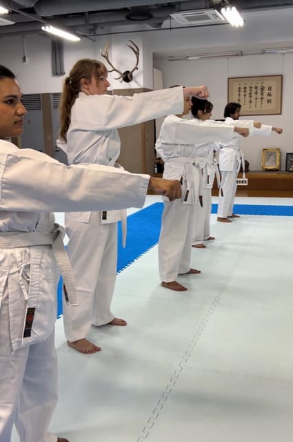 Karate Experience with the Shotokan Karate-do Instructor - Board breaking and the instructor demonstration