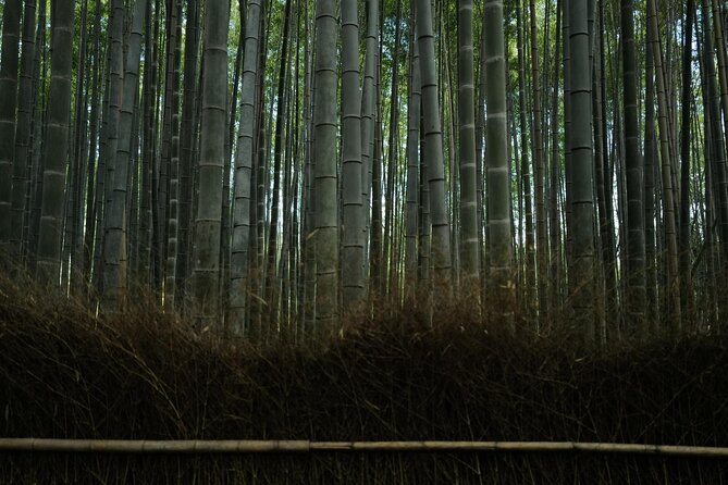 Kyoto Early Bird Tour Tokyo Round or One Way Shinkansen - Fushimi Inari: red gates and a longer walk