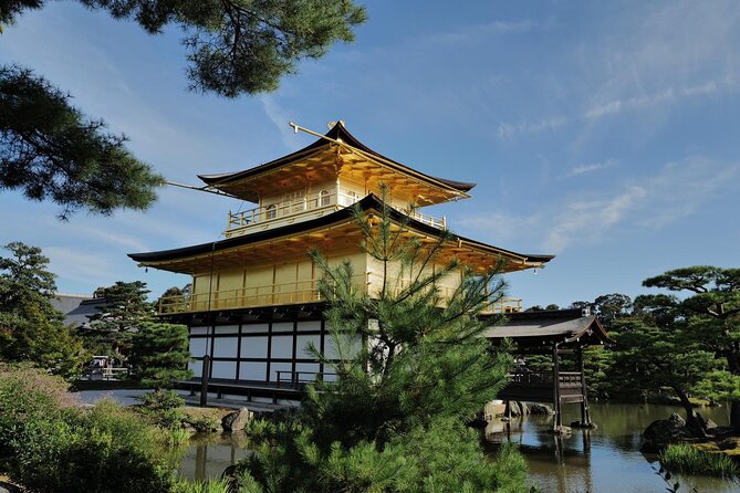 Kyoto Early Bird Tour Tokyo Round or One Way Shinkansen - The physical side of the day
