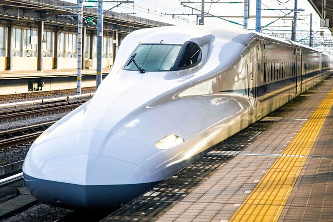 Kyoto Early Bird Tour Tokyo Round or One Way Shinkansen - Arashiyama bamboo grove: beautiful, brief, and busy