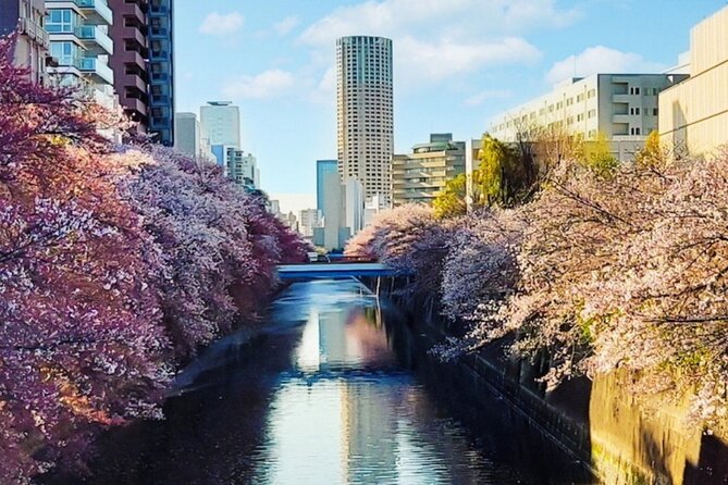 Licensed Guide Tokyo Meguro Cherry Blossom Walking Tour - Why the Meguro River makes a good Tokyo walk