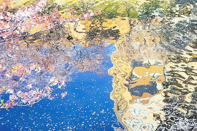 Licensed Guide Tokyo Meguro Cherry Blossom Walking Tour - Weather, blossom timing, and realistic expectations