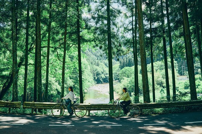 Little Adventure with Cycling in Tokyo No. 1 Crystal Clear River - Kotokuji Temple and its giant ginkgo tree