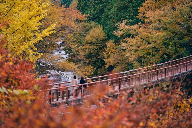 Little Adventure with Cycling in Tokyo No. 1 Crystal Clear River - What the $143.34 price really covers