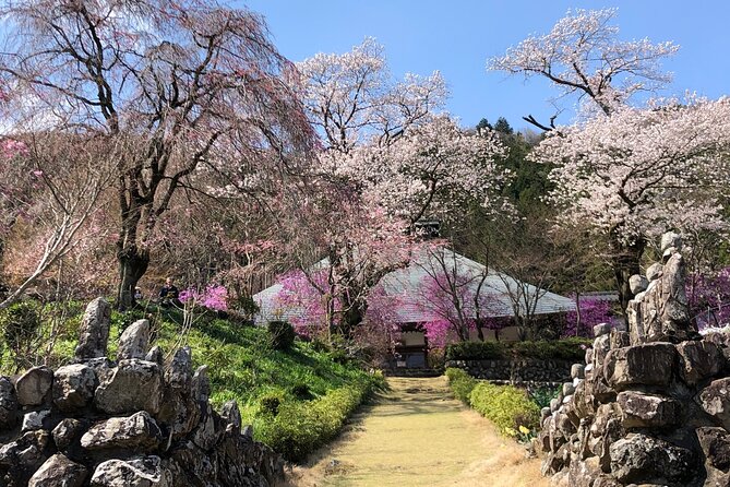 Little Adventure with Cycling in Tokyo No. 1 Crystal Clear River - Booking, cancellation, and weather planning
