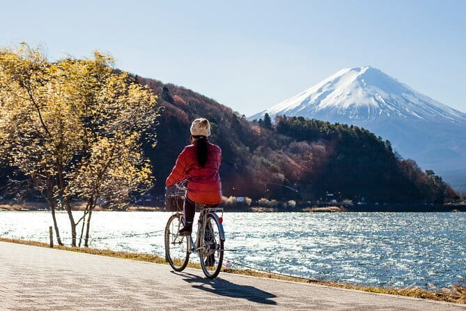 Majestic Mount Fuji: Exclusive Private Day Tour - Hikawa Clock Shop and the Fuji street view