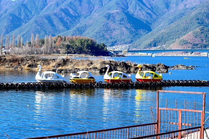 Majestic Mount Fuji: Exclusive Private Day Tour - Oshino Hakkai for springs, snacks, and lunch
