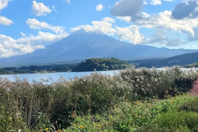 Majestic Mt. Fuji & Hakone Retreat –A Private Day Tour from Tokyo - What the driver-guide adds
