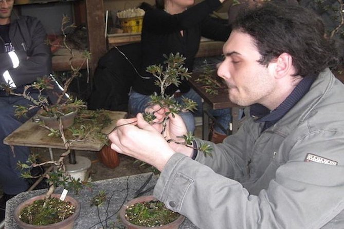 Make Your Own Bonsai with a Professional Bonsai Artist in Tokyo - A hands-on introduction at Shunkaen Bonsai Museum