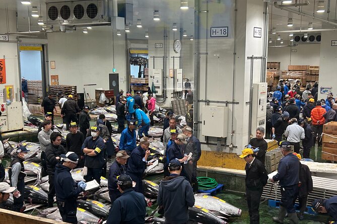 Morning Market Adventure: Toyosu & Tsukiji with Tuna Auction - A seafood breakfast after Toyosu