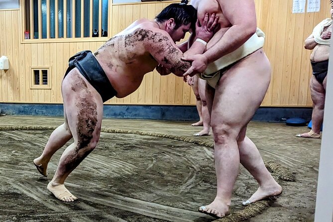 Morning Sumo Practice Viewing in Tokyo - Why morning practice feels different from a sumo tournament