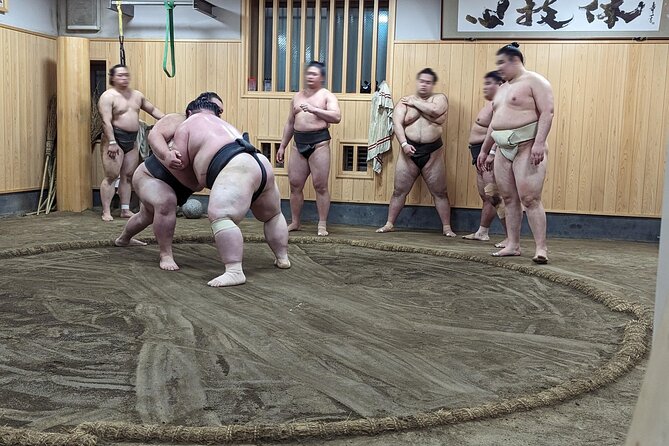 Morning Sumo Practice Viewing in Tokyo - Photos, lunch, and what is actually included