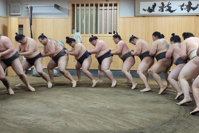 Morning Sumo Practice Viewing in Tokyo - Is $99.08 a fair price?