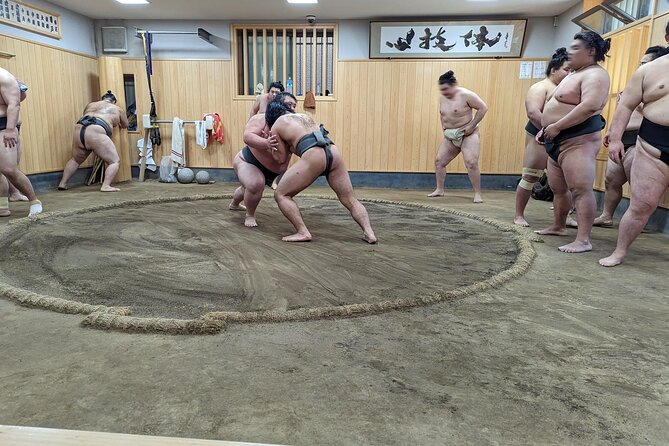 Morning Sumo Practice Viewing in Tokyo - Who will enjoy this sumo stable visit most?
