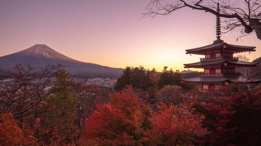 Mount Fuji 1-Day Trip: the Hottest Photography Tour - Key details before you book