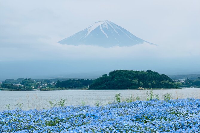 Mount Fuji Adventures Private English Tour With Hotel Pick Up - Chureito Pagoda and the famous Fuji photograph