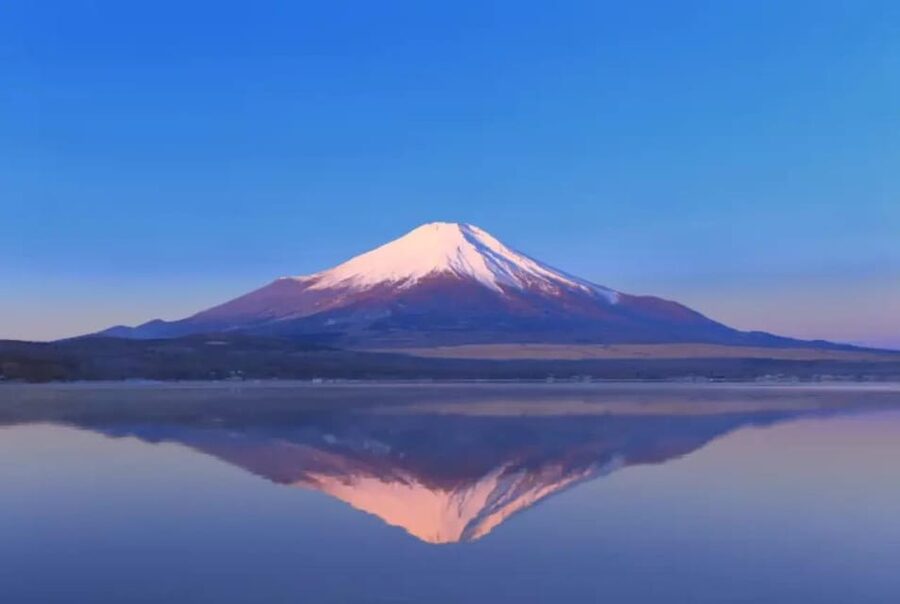 Mount Fuji and Hakone Day tour with English speaking Drivers - Arakurayama Sengen Park and the famous pagoda view