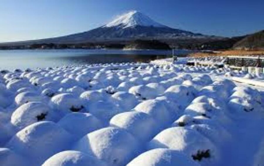Mount Fuji and Hakone Day tour with English speaking Drivers - Kitaguchi Hongu Fuji Sengen Shrine