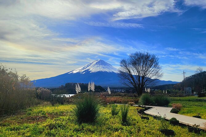 Mount fuji and Hakone Full day private sightseeing tour - Why a private car helps on a Fuji day trip