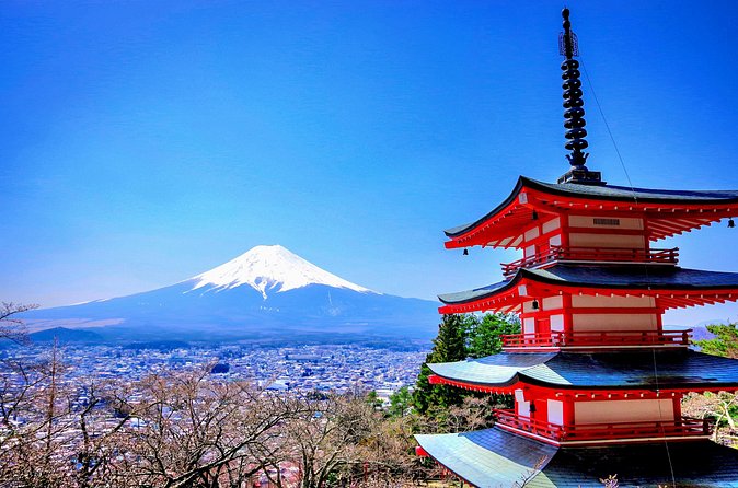 Mount fuji and Hakone Full day private sightseeing tour - Hakone Shrine puts the famous torii beside Lake Ashi