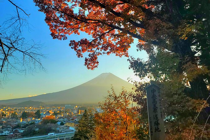 Mount fuji and Hakone Full day private sightseeing tour - The Hakone Open-Air Museum needs extra time and money