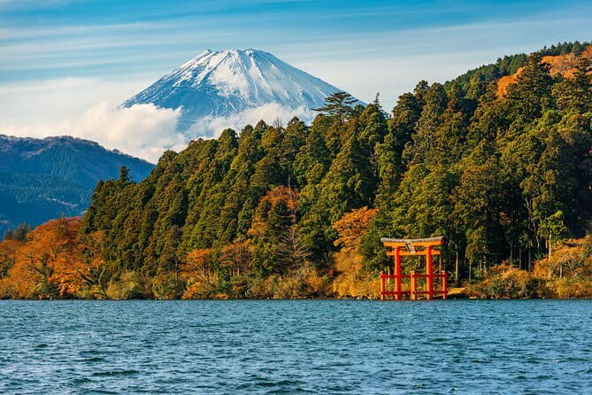 Mount Fuji and Hakone Private Day Trip by Car/Van - in English - A private way to reach Mount Fuji from Tokyo