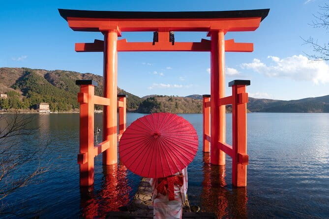 Mount Fuji and Hakone Private Day Trip by Car/Van - in English - What the private format changes