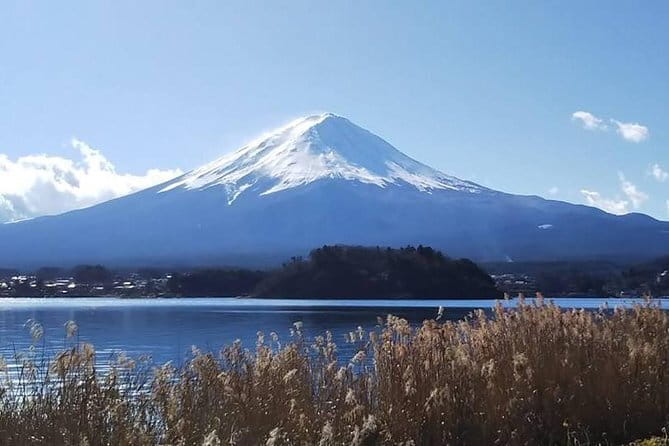 Mount Fuji and Hakone Private Day Trip by Car/Van - in English - Price, extra fees, and overall value