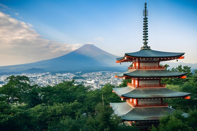 Mount Fuji and Hakone Private day trip from Tokyo - Why a private Fuji and Hakone day works